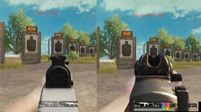 绝地求生刺激战场：MINI14与SKS狙击步枪全方位对比分析