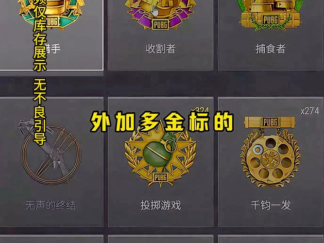 绝地求生辅助多少钱