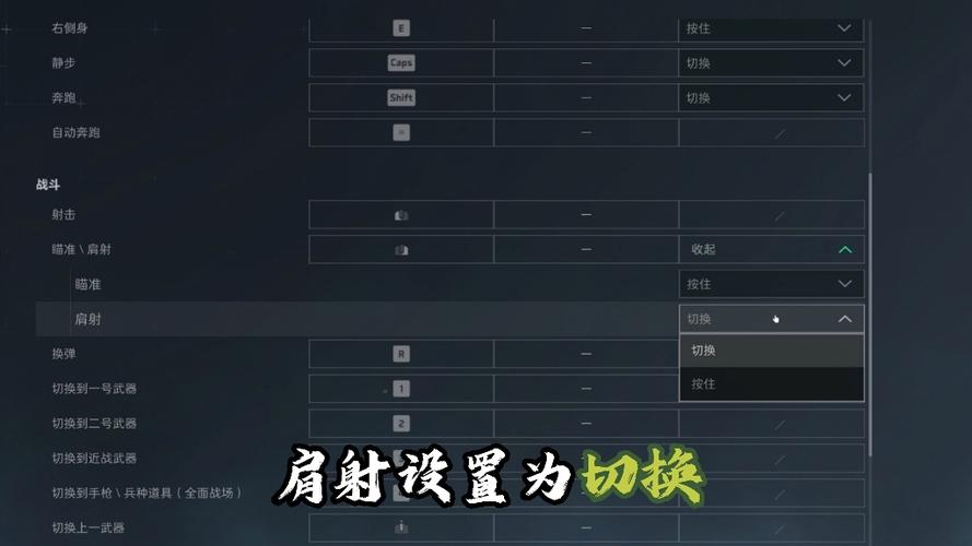 三角洲行动辅助