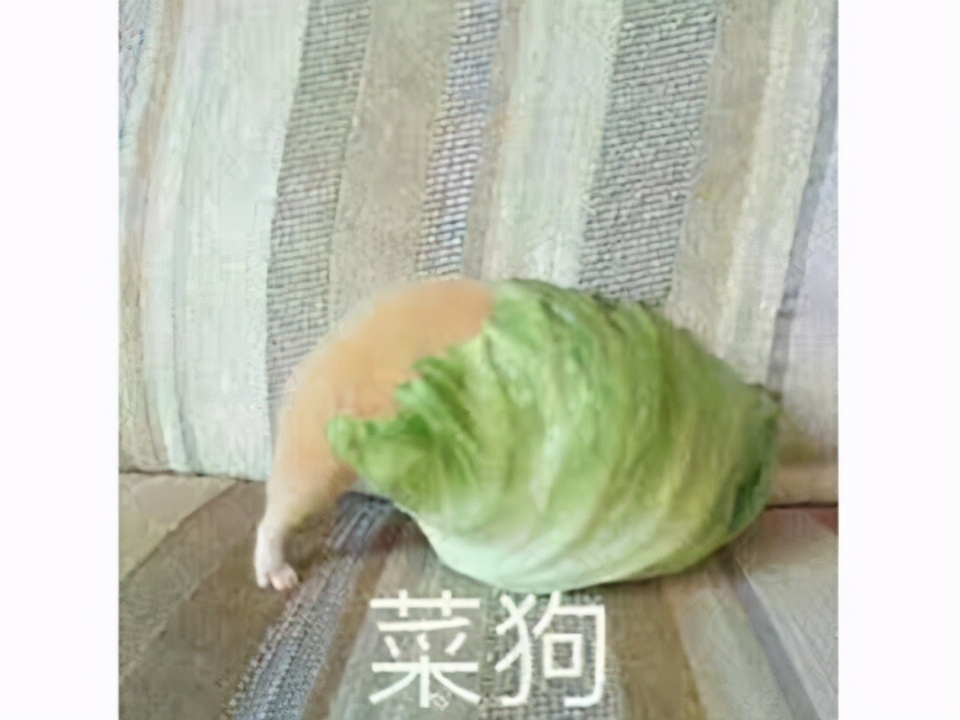 绝地求生操作